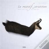 Rencontres Animales Dans Le Massif Jurassien