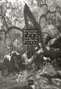 Rencontres De Berder Autour De Jean-Charles Pichon - Preview