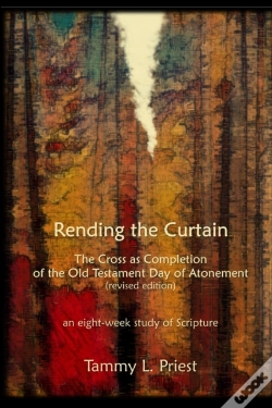 Capa do artigo Rending The Curtain - Revised