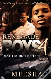 Capa do artigo Renegade Boys 4