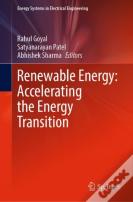 Renewable Energy: Accelerating The Energy Transition