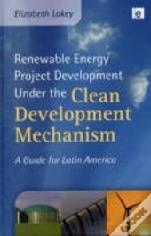 Renewable Energy Project Development Under The Clean Development Mechanism