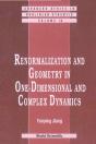 Renormalization And Geometry In One-Dimensional And Complex Dynamics - Preview