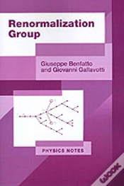 Capa do artigo Renormalization Group