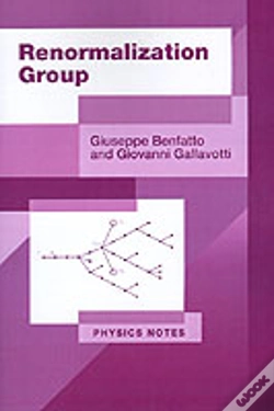 Capa do artigo Renormalization Group
