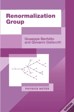 Capa do artigo Renormalization Group