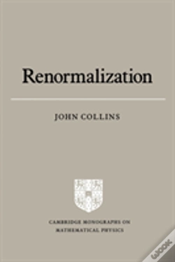 Capa do artigo Renormalization