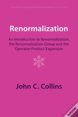 Capa do artigo Renormalization