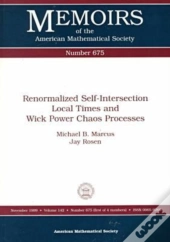 Renormalized Self-Intersection Local Times And Wick Power Chaos Processes