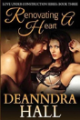 Renovating A Heart - Preview