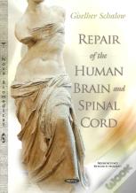 Repair Of The Human Brain & Spinal Cord