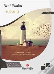 Capa do artigo Repaire