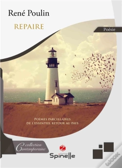Capa do artigo Repaire