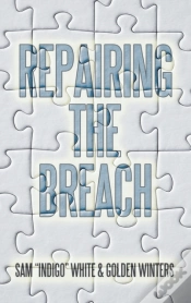 Capa do artigo Repairing The Breach