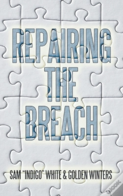 Capa do artigo Repairing The Breach