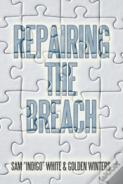 Capa do artigo Repairing The Breach