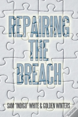 Capa do artigo Repairing The Breach
