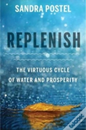 Capa do artigo Replenish