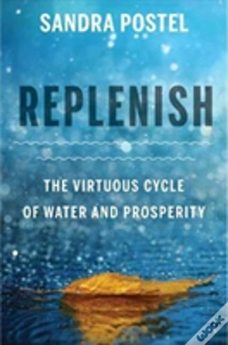 Capa do artigo Replenish
