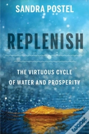 Capa do artigo Replenish