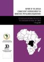 Report Of The African Commission'S Working Group On Indigenous Populations / Communities - Preview