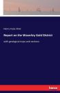 Report On The Waverley Gold District - Preview