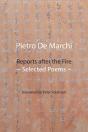 Reports After The Fire - Preview