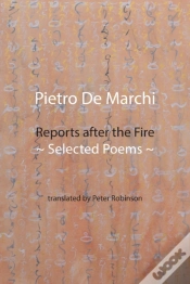 Capa do artigo Reports After The Fire