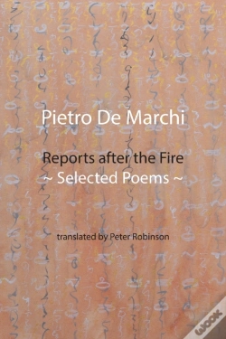 Capa do artigo Reports After The Fire