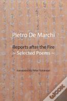 Reports After The Fire