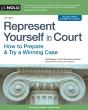 Represent Yourself In Court - Preview