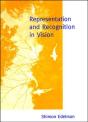Representation And Recognition In Vision - Preview