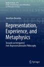 Representation, Experience, And Metaphysics - Preview