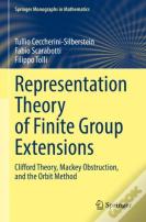 Representation Theory Of Finite Group Extensions