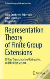Representation Theory Of Finite Group Extensions