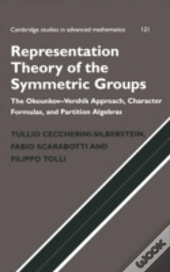 Representation Theory Of The Symmetric Groups
