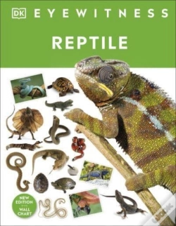 Capa do artigo Reptile