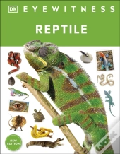 Reptile