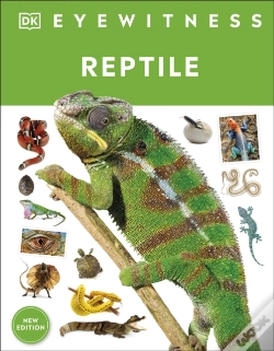 Capa do artigo Reptile