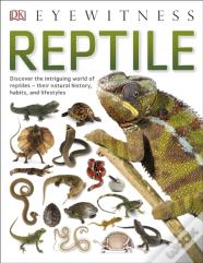 Reptile