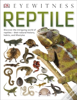 Capa do artigo Reptile