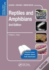 Reptiles And Amphibians