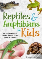 Reptiles & Amphibians For Kids