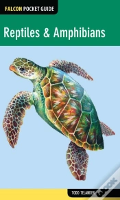 Capa do artigo Reptiles & Amphibians