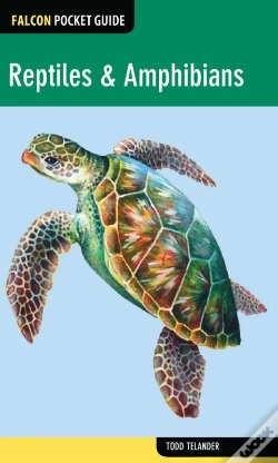 Capa do artigo Reptiles & Amphibians