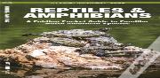 Reptiles & Amphibians