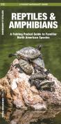 Reptiles & Amphibians - Preview
