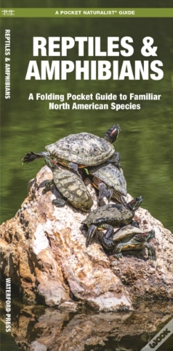 Capa do artigo Reptiles & Amphibians