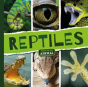 Reptiles - Preview