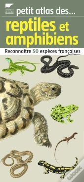 Reptiles Et Amphibiens (Petit Atlas Des.